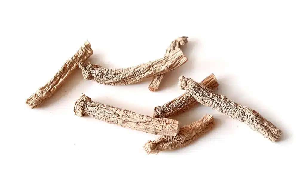 ginseng