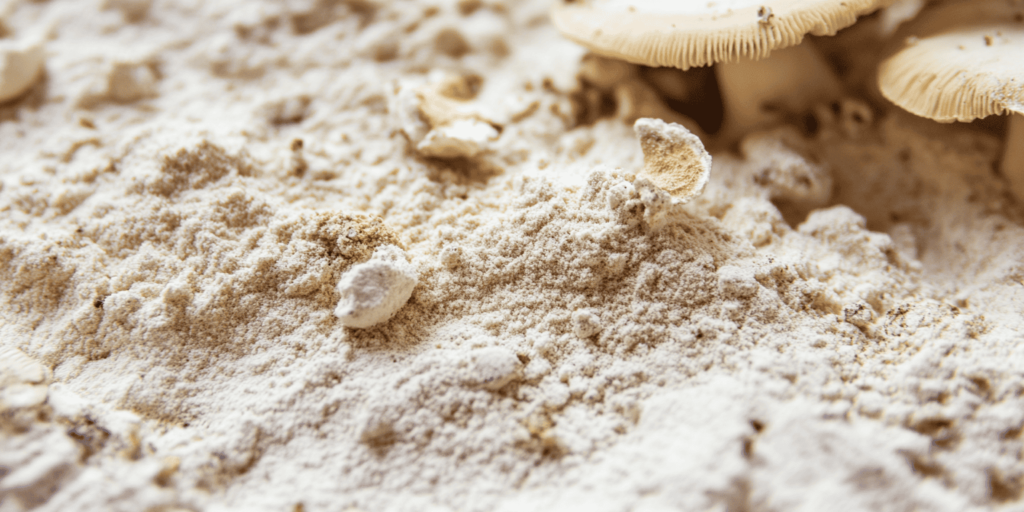 mushroom extracts